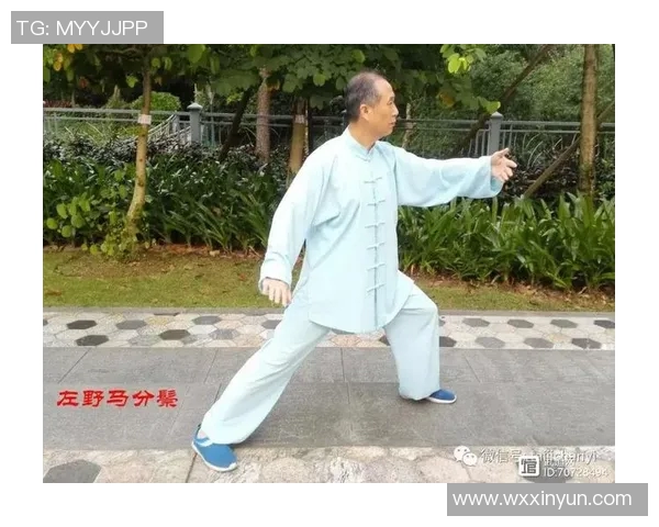 杨式太极拳竞赛套路的精髓与技巧探讨及其在现代武术中的应用